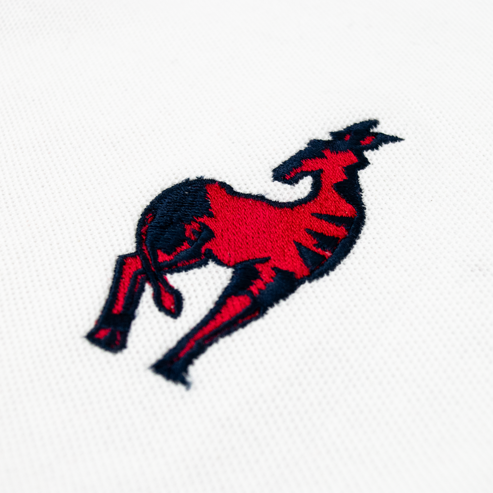Polo RDC
