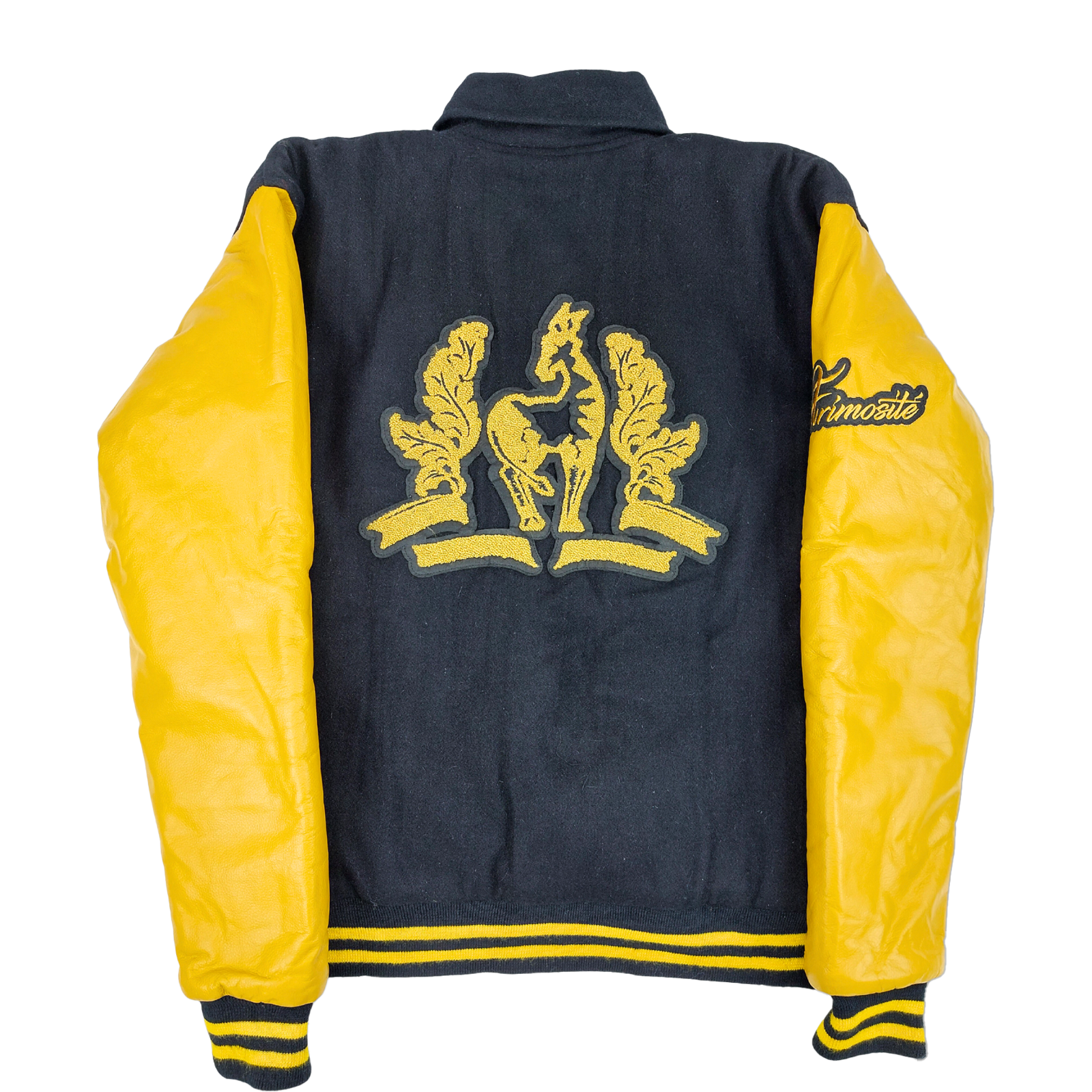 Veste Varsity